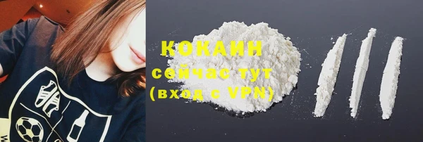 молекула духа Покровск