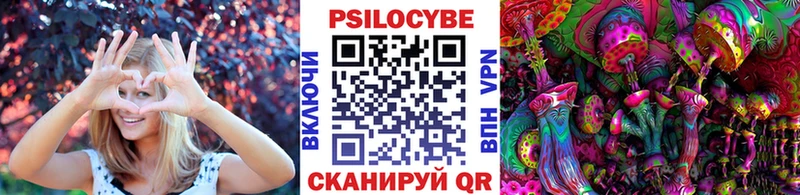 где купить Чекалин Галлюциногенные грибы мицелий